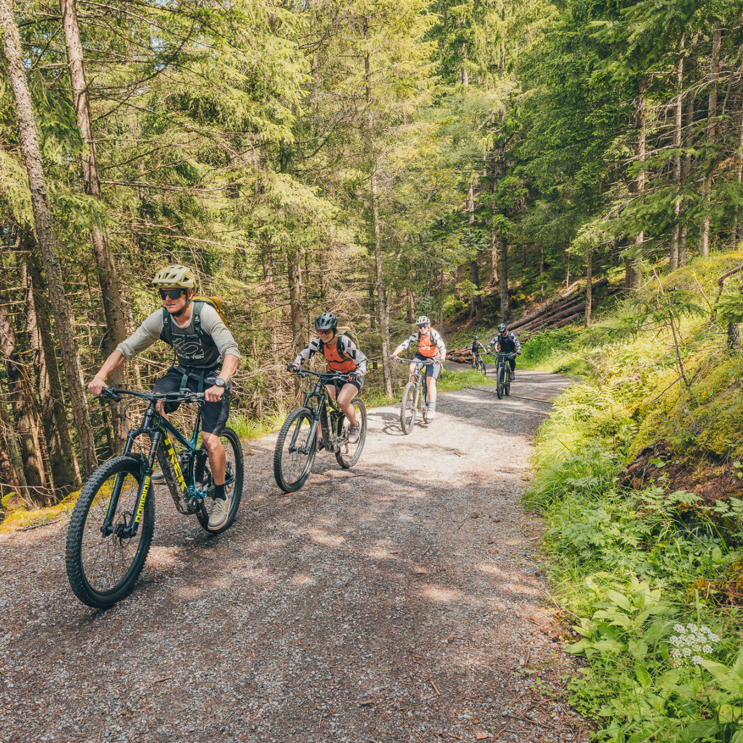 Mountainbiker beim Fahren auf einem Trail durch den Wald in der AREA 47 im Ötztal, Tirol