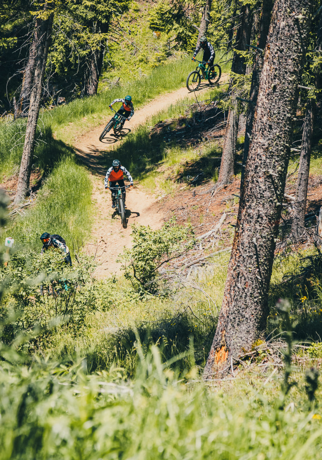 Mountainbiker auf einem schmalen Pfad im Wald der AREA 47 im Ötztal, Tirol