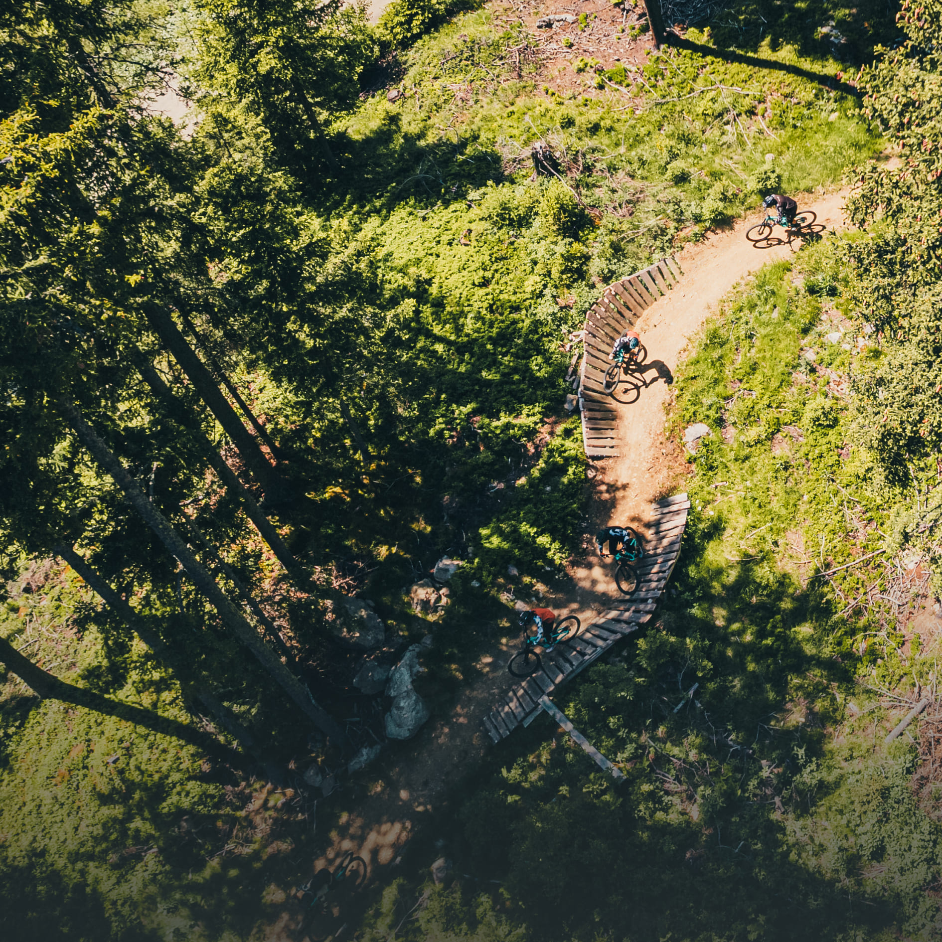 Mountainbike-Trail auf einer grünen Wiese in der AREA 47 im Ötztal, Tirol