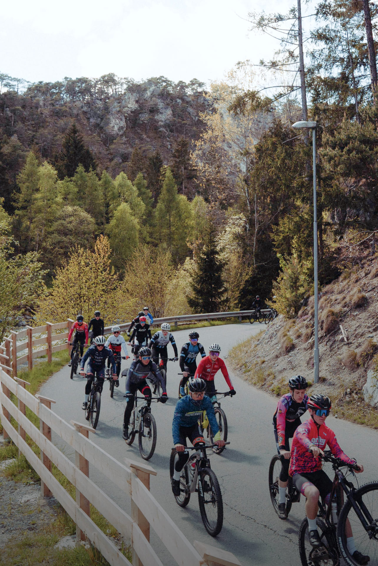 Eine Gruppe von Radfahrern fährt auf einer Straße im Ötztal, umgeben von Bäumen und Bergen
